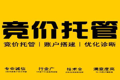 短视频信息流广告投放策略与案例分析